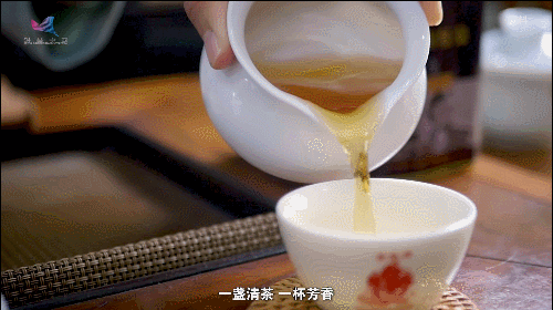 如何真正做有价值的科研？听“茶叶院士”陈宗懋的答案